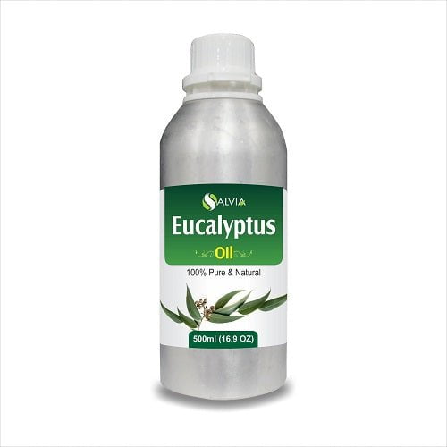 Salvia Natural Essential Oils,Greasy Oil,Anti Fungal,Anti-fungal Oil,Oil for Greasy Hair,Oil for Greasy Hair 500ml Eucalyptus Oil (Nilgiri Oil) Pure Essential Oil